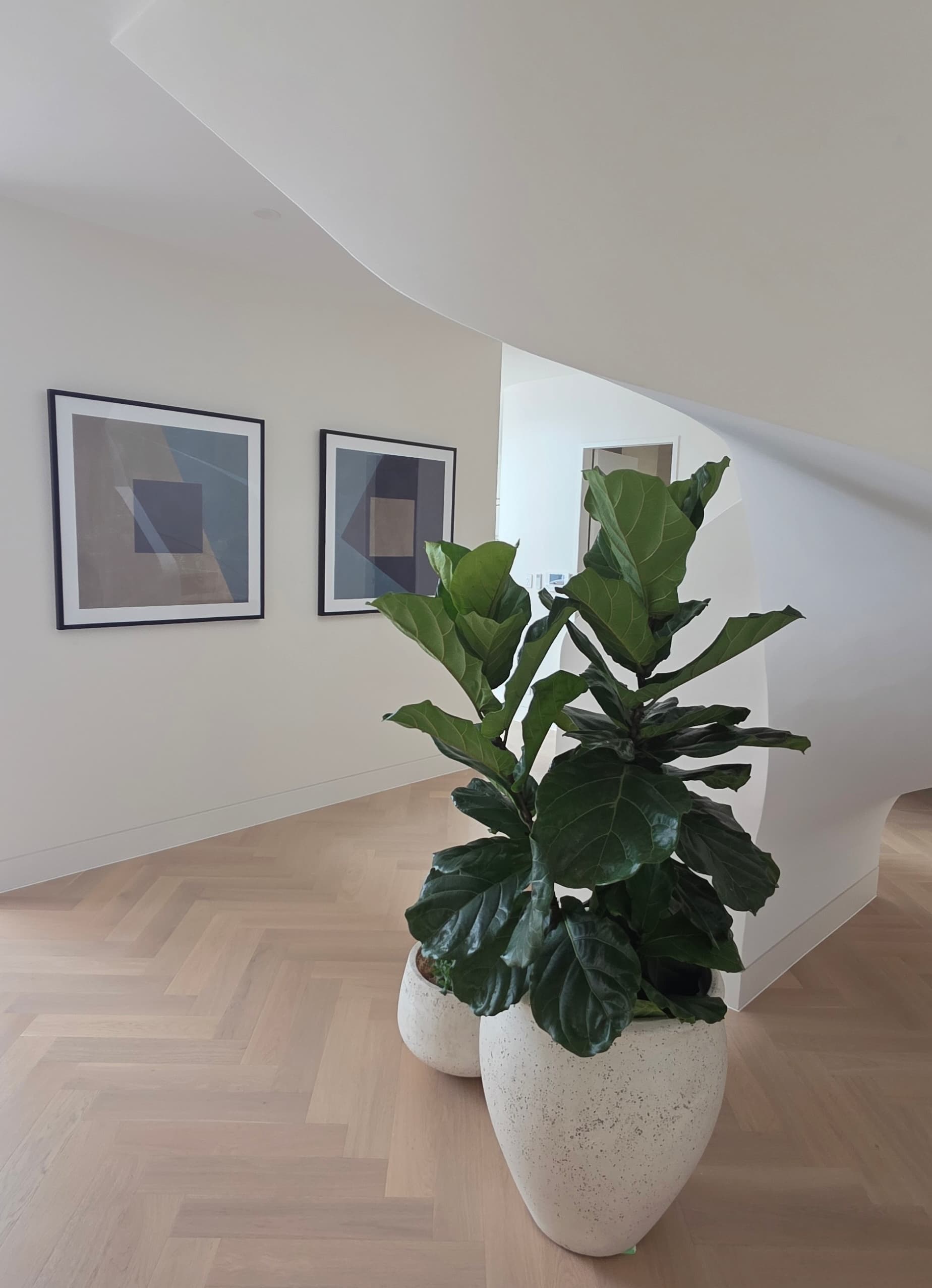 exterior painting services
